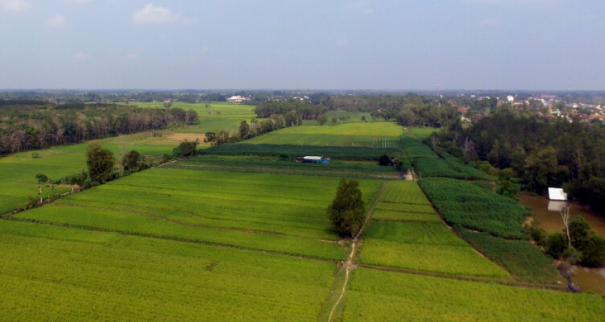 Persawahan - Peladangan - Pemukiman
